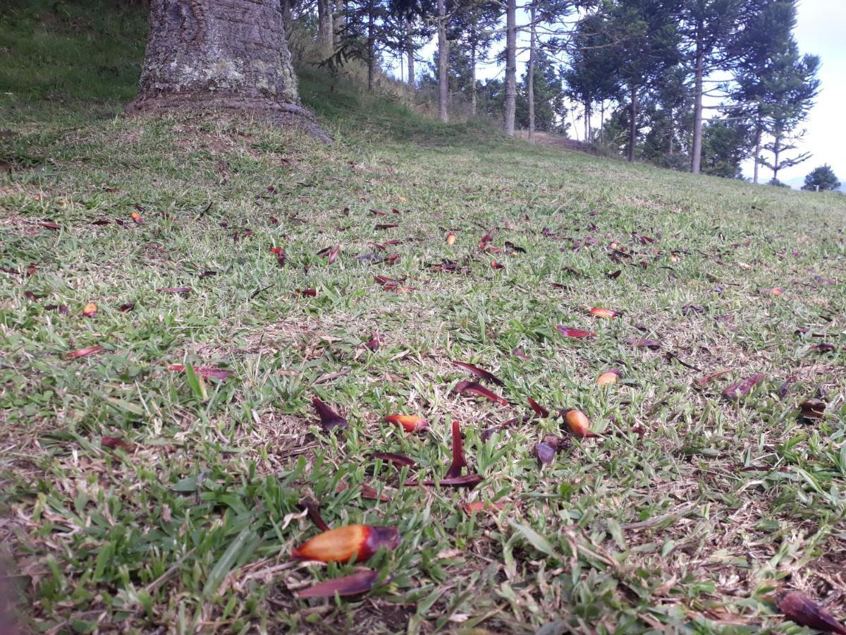 Pousada Flocos De Neve Urubici Exterior foto